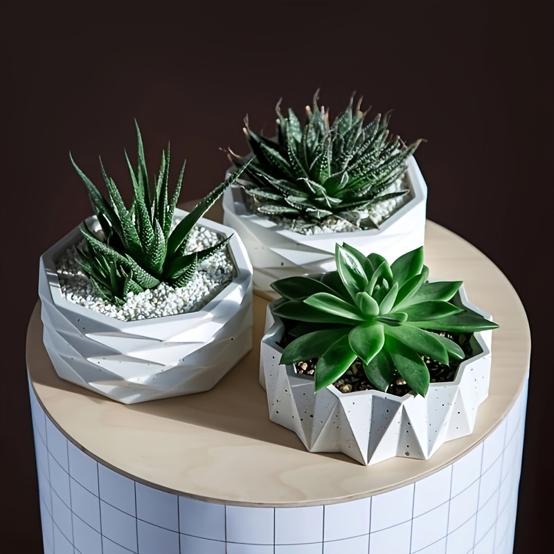 แม่พิมพ์ซิลิโคนทรงกลมขนาดใหญ่  - Potsticker Mold บทวิจารณ์และราคา