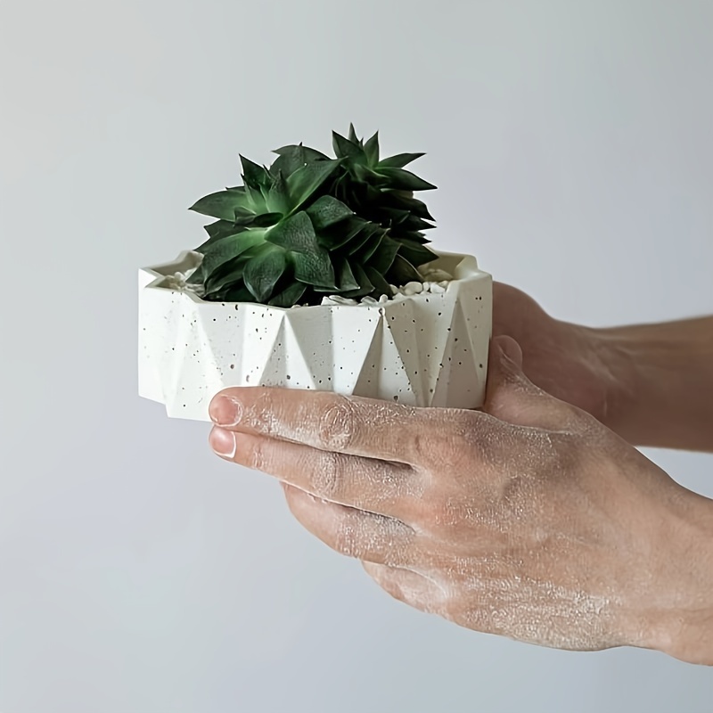 แม่พิมพ์ซิลิโคนทรงกลมขนาดใหญ่  - Potsticker Mold บทวิจารณ์และราคา
